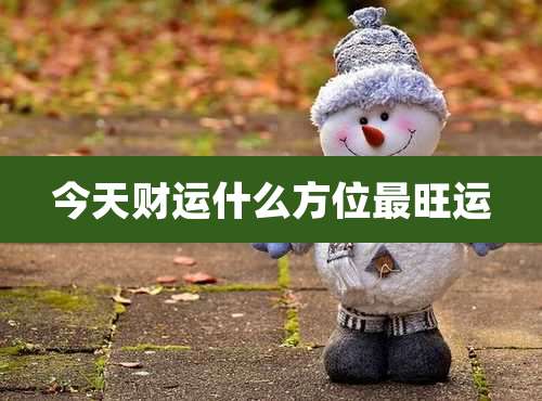 今天财运什么方位最旺运