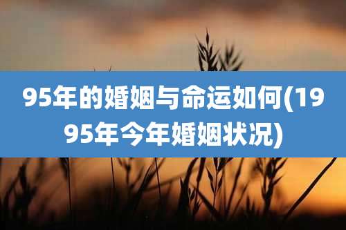 95年的婚姻与命运如何(1995年今年婚姻状况)
