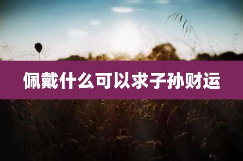 佩戴什么可以求子孙财运