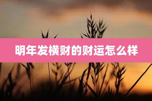 明年发横财的财运怎么样