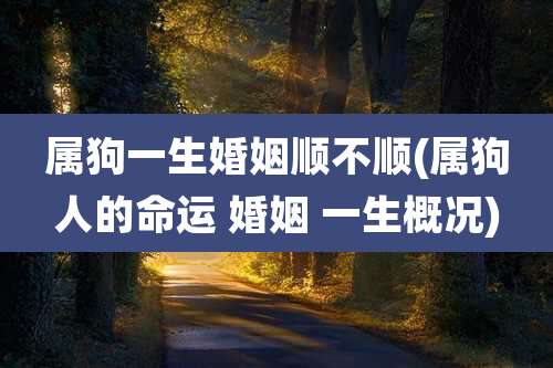 属狗一生婚姻顺不顺(属狗人的命运 婚姻 一生概况)