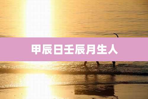 甲辰日壬辰月生人