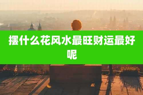 摆什么花风水最旺财运最好呢
