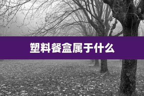 塑料餐盒属于什么