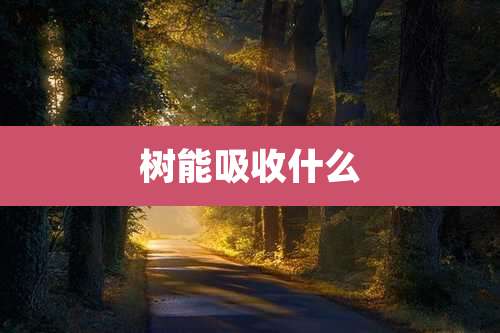 树能吸收什么