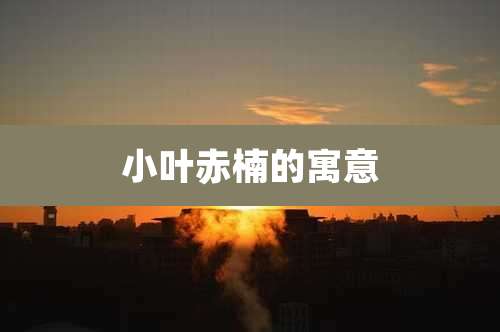 小叶赤楠的寓意