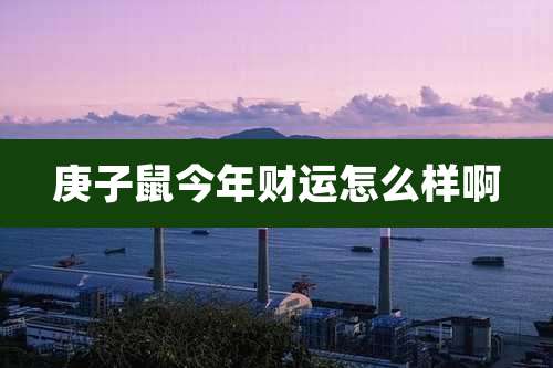 庚子鼠今年财运怎么样啊