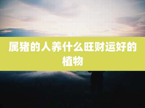 属猪的人养什么旺财运好的植物