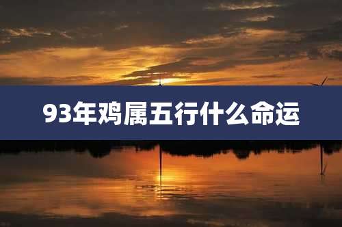 93年鸡属五行什么命运