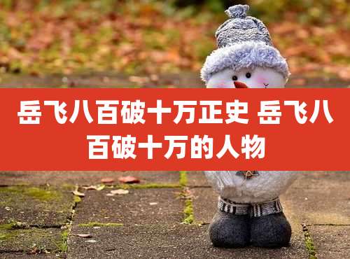 岳飞八百破十万正史 岳飞八百破十万的人物