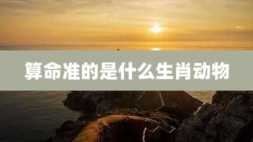 算命准的是什么生肖动物