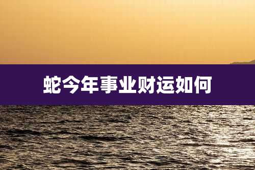 蛇今年事业财运如何