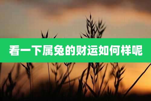 看一下属兔的财运如何样呢