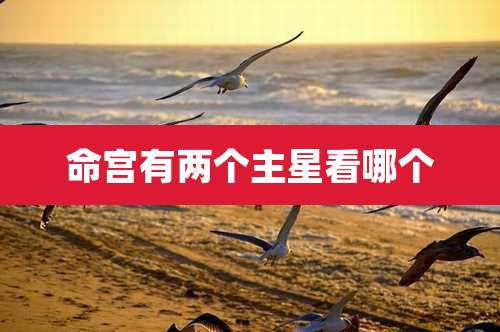 命宫有两个主星看哪个