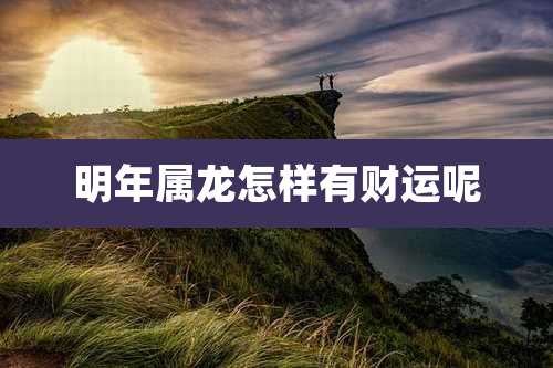 明年属龙怎样有财运呢