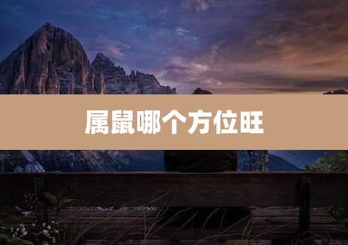 属鼠哪个方位旺