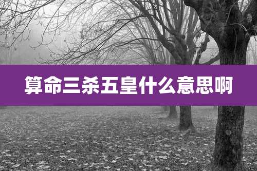 算命三杀五皇什么意思啊