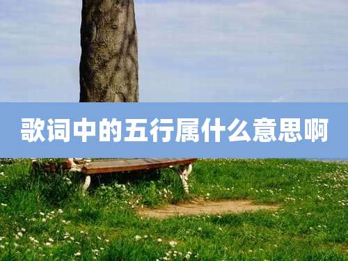 歌词中的五行属什么意思啊