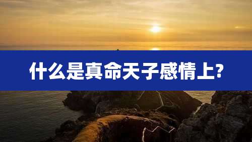 什么是真命天子感情上?