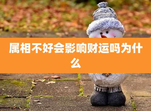 属相不好会影响财运吗为什么