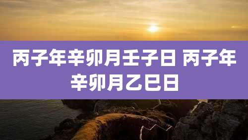 丙子年辛卯月壬子日 丙子年辛卯月乙巳日