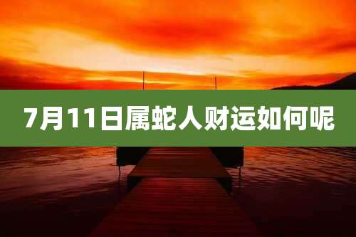 7月11日属蛇人财运如何呢