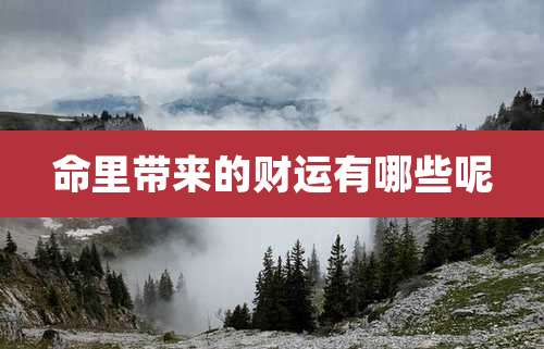 命里带来的财运有哪些呢