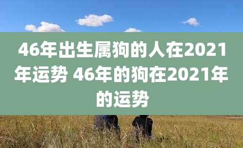 46年出生属狗的人在2021年运势 46年的狗在2021年的运势