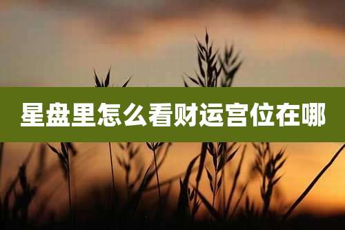 星盘里怎么看财运宫位在哪