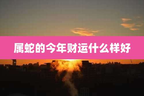 属蛇的今年财运什么样好