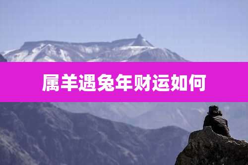 属羊遇兔年财运如何