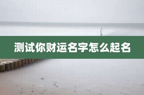 测试你财运名字怎么起名