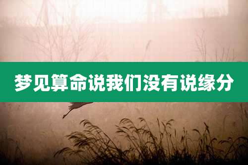 梦见算命说我们没有说缘分