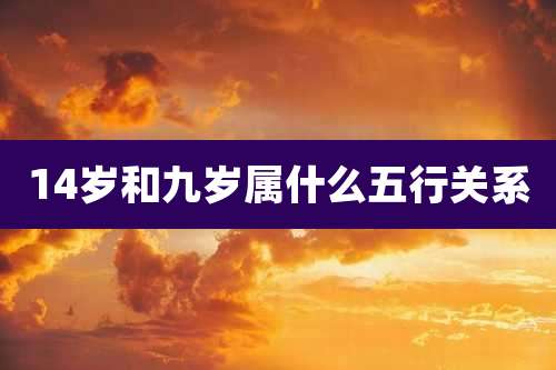14岁和九岁属什么五行关系