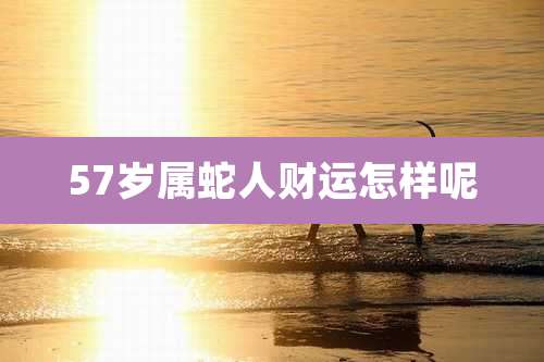57岁属蛇人财运怎样呢