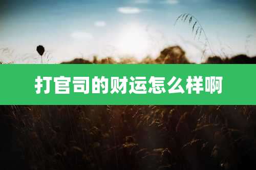 打官司的财运怎么样啊