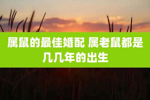 属鼠的最佳婚配 属老鼠都是几几年的出生