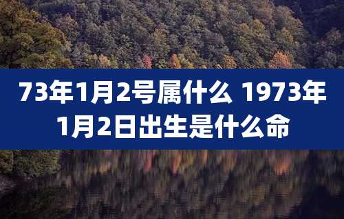 73年1月2号属什么 1973年1月2日出生是什么命