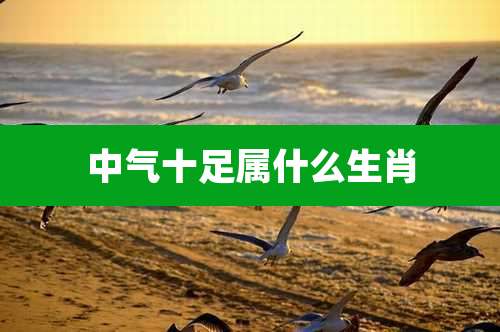 中气十足属什么生肖