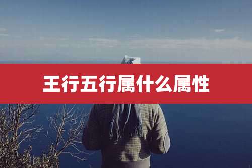 王行五行属什么属性