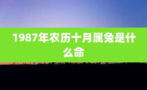 1987年农历十月属兔是什么命