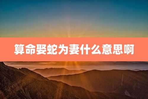 算命娶蛇为妻什么意思啊