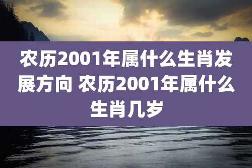 农历2001年属什么生肖发展方向 农历2001年属什么生肖几岁