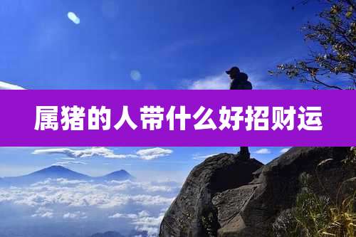 属猪的人带什么好招财运