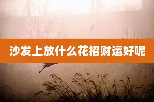 沙发上放什么花招财运好呢