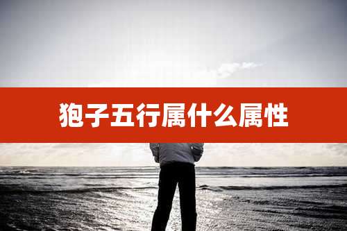 狍子五行属什么属性