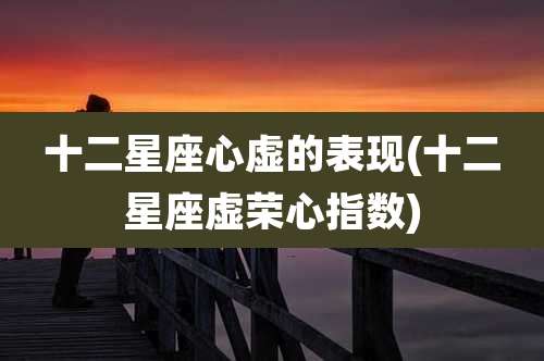 十二星座心虚的表现(十二星座虚荣心指数)