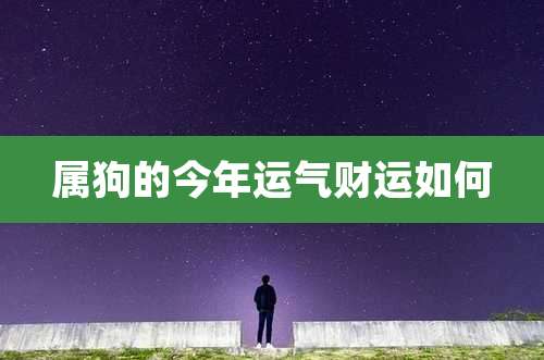 属狗的今年运气财运如何