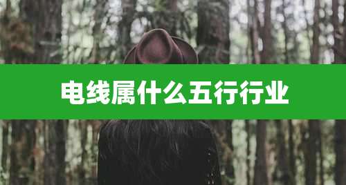 电线属什么五行行业