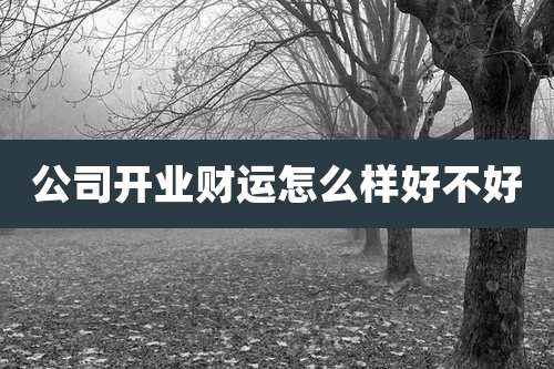 公司开业财运怎么样好不好